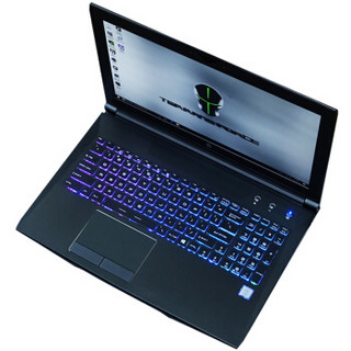 TERRANS FORCE 未来人类 T500 15.6英寸笔记本电脑(i7-8750h、16GB、256G+1T、