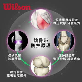 威尔胜 Wilson  运动护膝 固定式髌骨带男女硅胶加压升级款WTBH-705