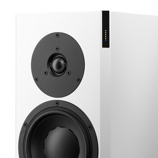 Dynaudio 丹拿 焦点系列 Foucs 20 XD 有源HiFi音箱 哑光白