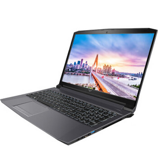 Haier 海尔 海尔 - 凌越 凌越 GT 15英寸笔记本电脑(灰色、I7-8750H、8GB、1TB、GTX 1050 ti)