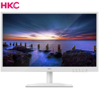 HKC 惠科 P2000 21.5英寸 显示器