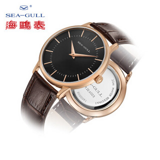SeaGull 海鸥 519.22.6003 男士机械手表