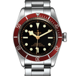 TUDOR 帝舵 碧湾系列 79230R 男士机械手表 41mm 黑色 银色 不锈钢