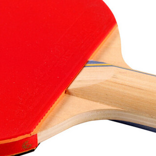红双喜DHS E-E202横拍双面反胶乒乓拍健身型（附带拍套，单块装）