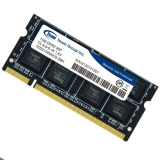  Team 十铨 DDR2 800MHz 1GB 笔记本内存