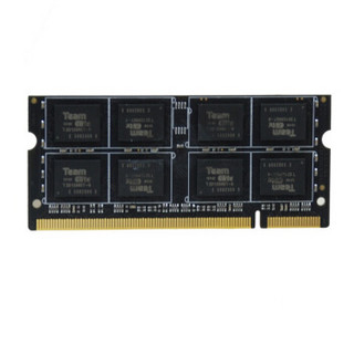  Team 十铨 DDR2 800MHz 1GB 笔记本内存