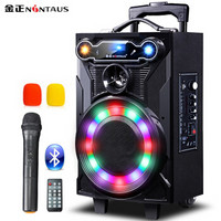NINTAUS 金正 N23 扩音器