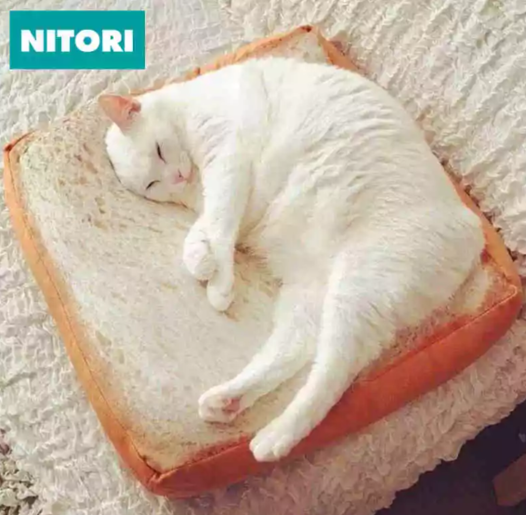 逛了 NITORI,才知道宜家输在哪