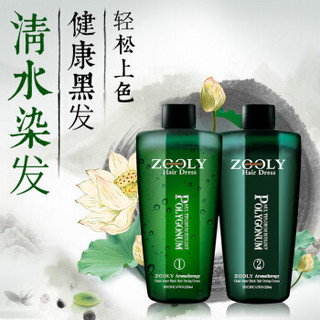 ZOOLY 卓蓝雅 清水染发霜 自然黑色 220ml*2瓶