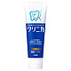 日本进口 狮王(LION) 酵素洁净立式温和薄荷味牙膏130g 清洁牙齿 深层洁净