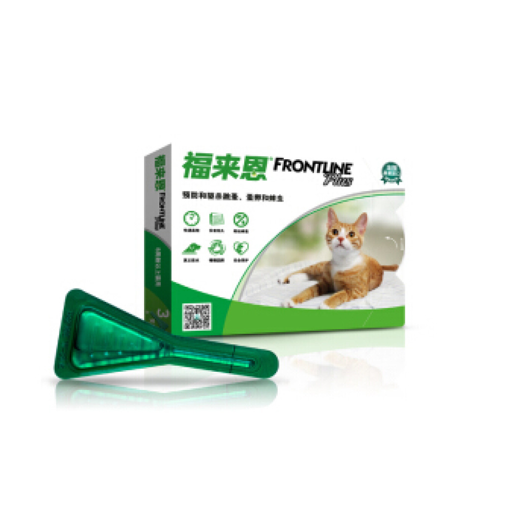 新手养猫该为猫猫准备什么呢?(附平替产品)