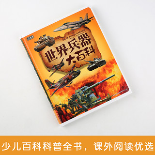 《彩书坊： 世界兵器大百科》