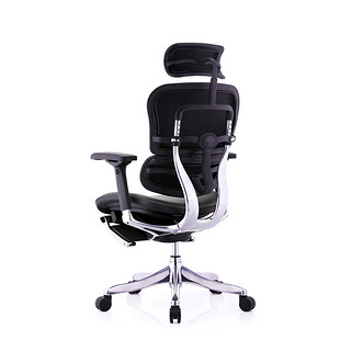 Ergonor 保友办公家具 金豪 精英 人体工学电脑椅 黑色 标配