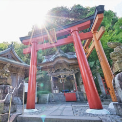 非红眼航班！上海-日本佐贺5-6天