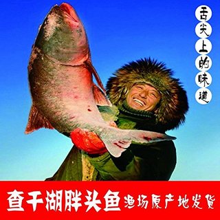 CHINGREE 查干湖 精品胖头鱼 (6-8斤)