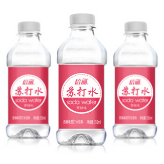 倍丽 苏打水 西柚味 350ml*15瓶