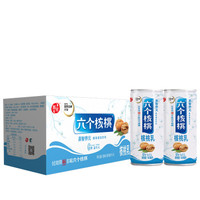 养元 六个核桃 易智养元 植物蛋白饮料 180ml*8罐 整箱装