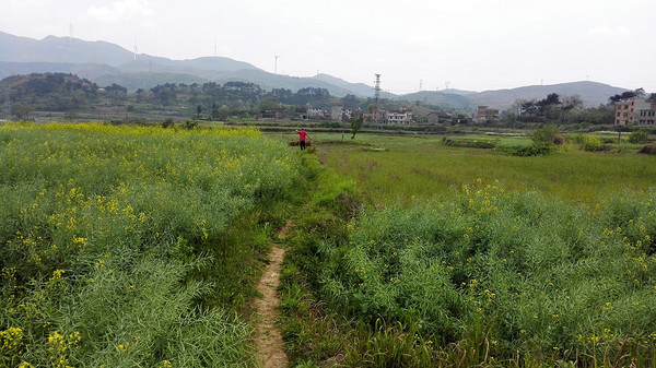 秋天，是郴州8629/8630列车蔬菜瓜果味道最浓的季节