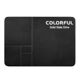 七彩虹（Colorful） 固态硬盘 SL300 120GB
