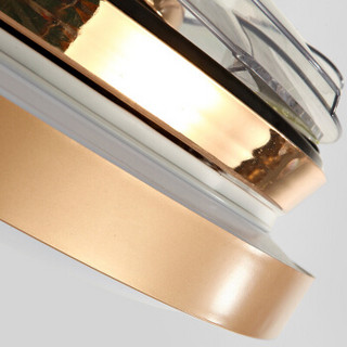 海德照明 HD 风扇吊灯 可收缩隐形扇叶 欧式现代 金玉盘 带遥控