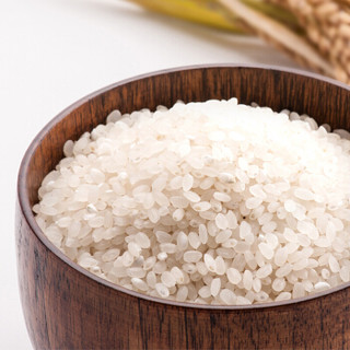  燕之坊 谷韵香米 1kg