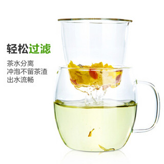 Tianxi 天喜 特制花茶泡茶杯 450ml