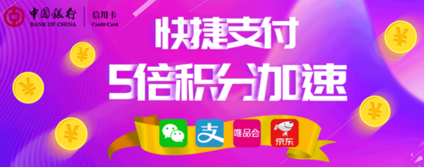 移动端：中国银行 微信支付/京东支付/唯品会/支付宝快捷支付