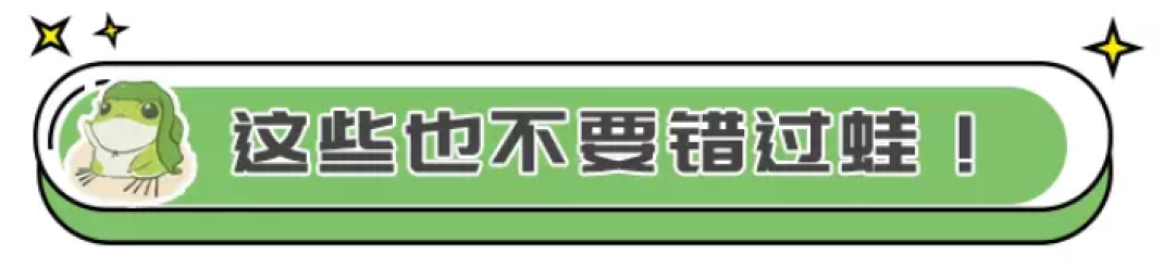 日销800份的网红牛蛙面来了!一口征服无数吃货!