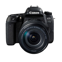 Canon 佳能 EOS 77D 数码单反相机套机（EF-S 18 135mm F3.5-5.6 IS USM镜头）
