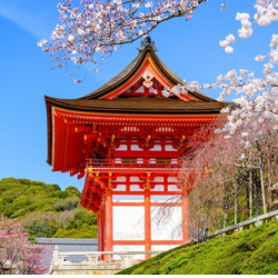 品蟹笼御膳 泡优质温泉 上海-日本东京+大阪6天5晚纯玩跟团游