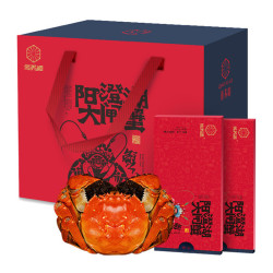 俏苏阁 阳澄湖大闸蟹礼券 多组合