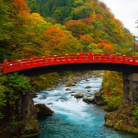 特价机票：红叶狩！天津-日本大阪/东京6天往返含税