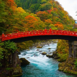 红叶狩！天津-日本大阪/东京6天往返含税