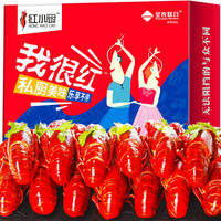 Sinoon Union 星农联合 红小厨 小龙虾 (十三香、4-6钱 净虾750g)