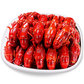 Deyan Crawfish 德炎龙虾 德炎 麻辣小龙虾整虾900g 4-6钱 净虾500g 15-20只 海鲜水产冷冻熟食 烧烤加热即食