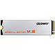 GLOWAY 光威 骁将  M.2 NVME 固态硬盘 480GB