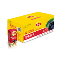 Lipton 立顿 英式果茶 野莓味 250ml*24盒 箱装