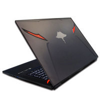 TERRANS FORCE 未来人类 DR7-PLUS-77SH2 17.3英寸笔记本电脑(i7-7700HQ、8GB、256GB SSD 1T、