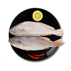 海悦食品 深海野生小黄鱼 500g 3-4条 *13件