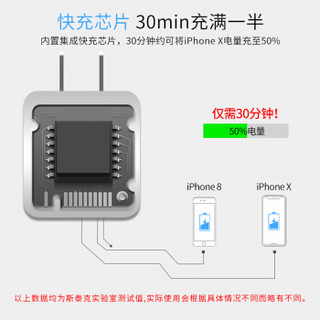 斯泰克 苹果PD充电器30W type-c快充头USB-C充电头 线充套装 iPhoneXS/XS Max/XR/8/7plus电源适配器29W