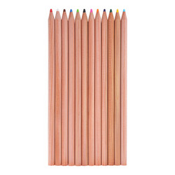 日本TANOSEE学生木纹彩色美术绘图绘画铅笔 12色套装TS-SCP12C *5件