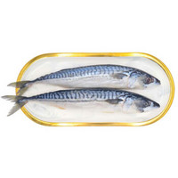 水巷口 美国进口冷冻青花鱼(鲭鱼） 500g 2-3条 袋装 烧烤食材 海鲜水产