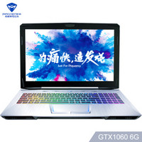 MACHENIKE 机械师 F117 F117-S6C 15.6英寸笔记本电脑(银色、i7-8750H、16GB、1T、GTX1060)