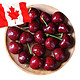 有券的上！加拿大进口车厘子 1磅装 J级 果径约26-28mm 生鲜进口水果樱桃 *4件