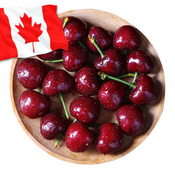 加拿大进口车厘子 1磅装 J级 果径约26-28mm 生鲜进口水果樱桃 *5件