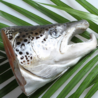 THE OCEAN GALA 冷冻三文鱼头味增汤 (300g)