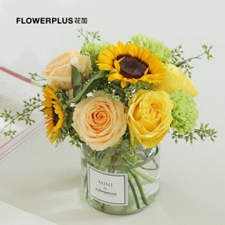 FlowerPlus 花加 教师节暖阳主题 鲜花花束 （送花瓶）