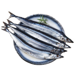 简单滋味 冷冻精品俄罗斯秋刀鱼 450g 3-4条 袋装 海鲜年货 *2件