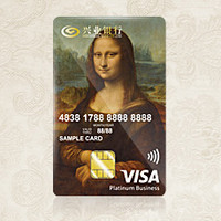 兴业银行 VISA艺术主题白金信用卡