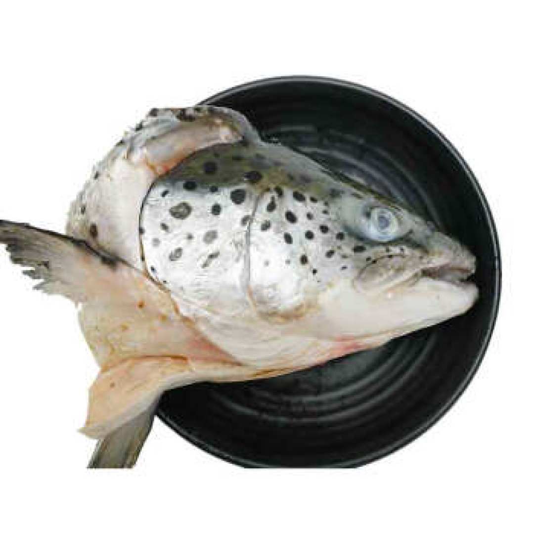 看着吓人吃着香啊——美威 三文鱼头开箱